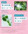 http://www.i-chew.com.tw/content/images/thumbs/0092936_botanist_250.jpg